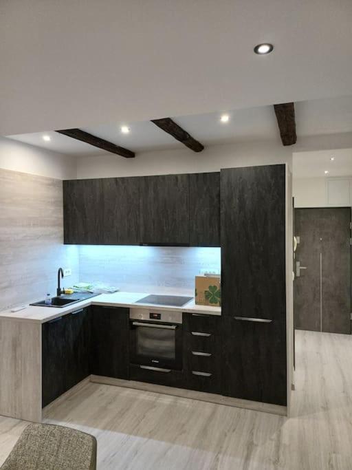 Apartman Ena Radiceva Zagreb Exteriör bild