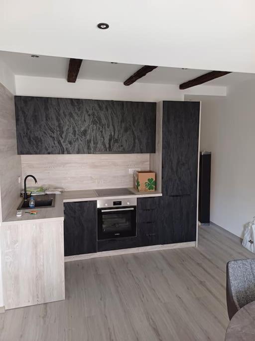 Apartman Ena Radiceva Zagreb Exteriör bild